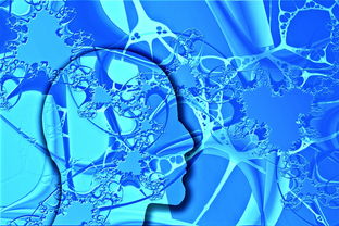 米兰体育官网-中国足球未来发展规划不明朗,中国足球发展方向