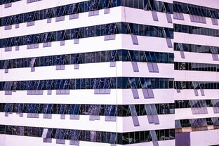 米兰真人-体育新闻中心推进体育智库体系建设,体育专题报道