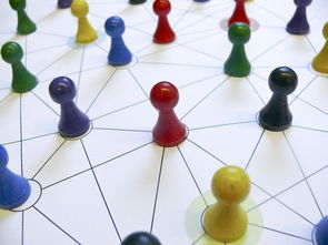 米兰体育在线-中国篮球教练员领导力培养路径，中国篮球协会篮球教练员等级